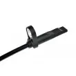 Capteur, vitesse de roue arrière TEKNÖR HCA-NS-032 - Visuel 2