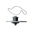 Pompe à eau TEKNÖR CPW-CH-010 - Visuel 3