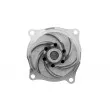 Pompe à eau TEKNÖR CPW-MZ-047 - Visuel 3