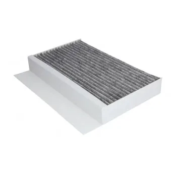 Filtre, air de l'habitacle BSG BSG 75-145-010