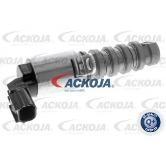 Valve de commande, réglage d'arbres à came ACKOJA A26-0230