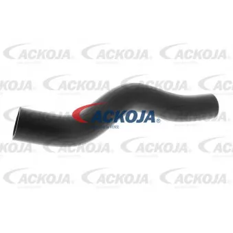 Durite de radiateur ACKOJA A26-1601