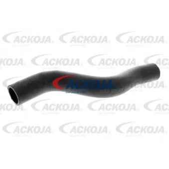 Durite de radiateur ACKOJA A26-1604