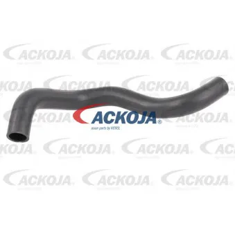 Durite de radiateur ACKOJA A26-1605