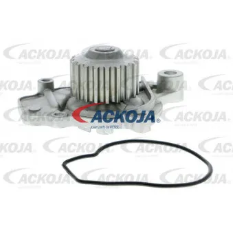 Pompe à eau ACKOJA A26-50005