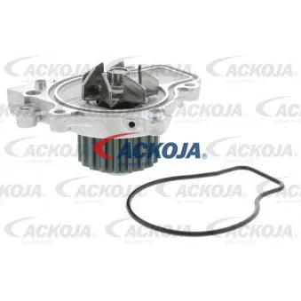Pompe à eau ACKOJA A26-50006