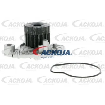Pompe à eau ACKOJA A26-50007