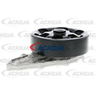 Pompe à eau ACKOJA A26-50009