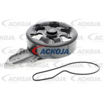 Pompe à eau ACKOJA A26-50010