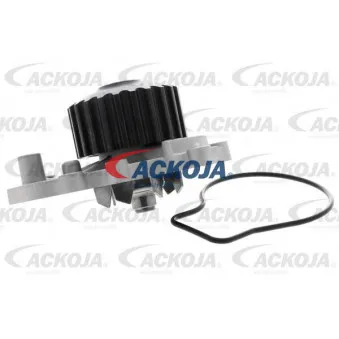 Pompe à eau ACKOJA A26-50011