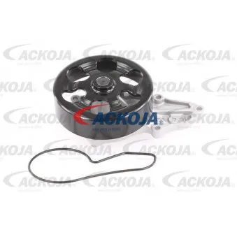 Pompe à eau ACKOJA A26-50016