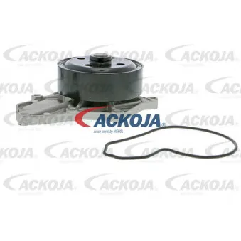 Pompe à eau ACKOJA A26-50017