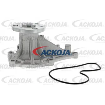 Pompe à eau ACKOJA A26-50018