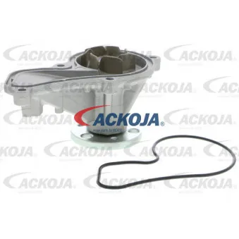 Pompe à eau ACKOJA A26-50020