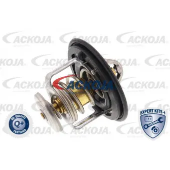 Thermostat d'eau ACKOJA A26-99-0001