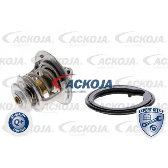 Thermostat d'eau ACKOJA A26-99-0007