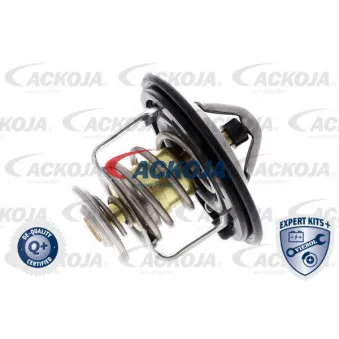 Thermostat d'eau ACKOJA A26-99-0010