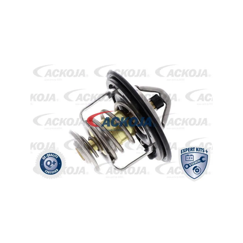 Thermostat d'eau ACKOJA A26-99-0010