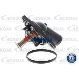 Thermostat d'eau ACKOJA A26-99-0012