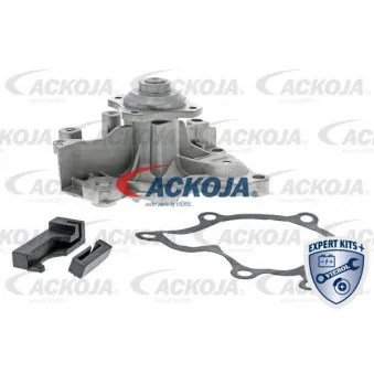Pompe à eau ACKOJA A32-50004