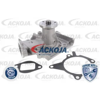 Pompe à eau ACKOJA A32-50005
