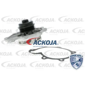 Pompe à eau ACKOJA A32-50006