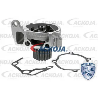 Pompe à eau ACKOJA A32-50008