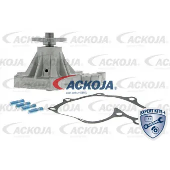 Pompe à eau ACKOJA A32-50010