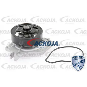 Pompe à eau ACKOJA A32-50011