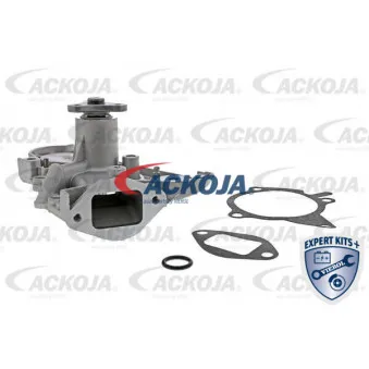 Pompe à eau ACKOJA A32-50013