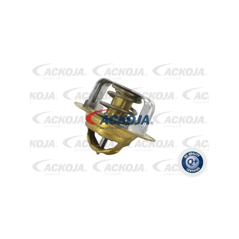 Thermostat d'eau ACKOJA A32-99-1704