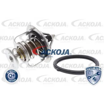 Thermostat d'eau ACKOJA A32-99-1705