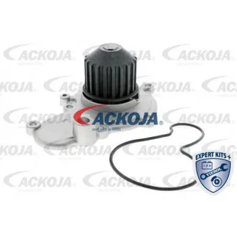 Pompe à eau ACKOJA A37-50001