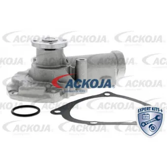 Pompe à eau ACKOJA A37-50004