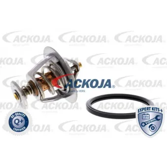 Thermostat d'eau ACKOJA A37-99-0005