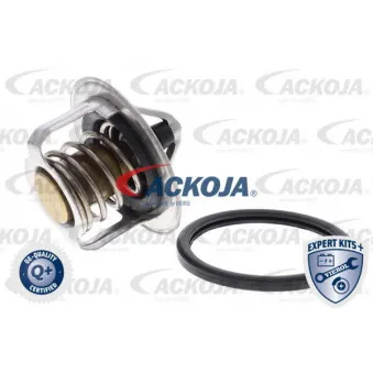 Thermostat d'eau ACKOJA A37-99-0006