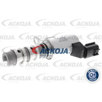 Valve de commande, réglage d'arbres à came ACKOJA A38-0280