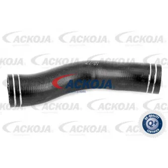 Gaine de suralimentation ACKOJA A38-0297