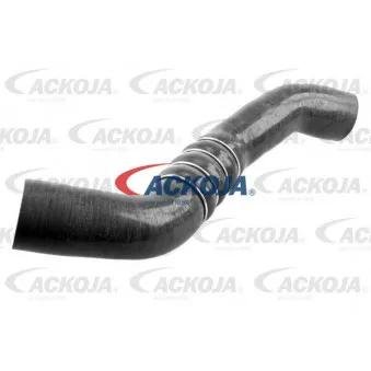 Gaine de suralimentation ACKOJA A38-0299