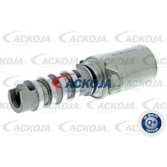 Valve de commande, réglage d'arbres à came ACKOJA A38-0328