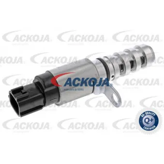 Valve de commande, réglage d'arbres à came ACKOJA A38-0456