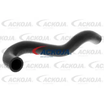 Durite de radiateur ACKOJA A38-1602