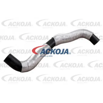 Durite de radiateur ACKOJA A38-1603