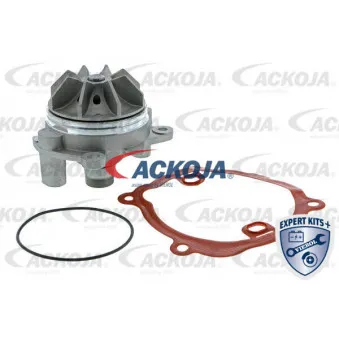 Pompe à eau ACKOJA A38-50001