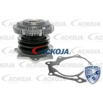 Pompe à eau ACKOJA A38-50007