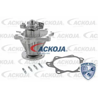 Pompe à eau ACKOJA A38-50008