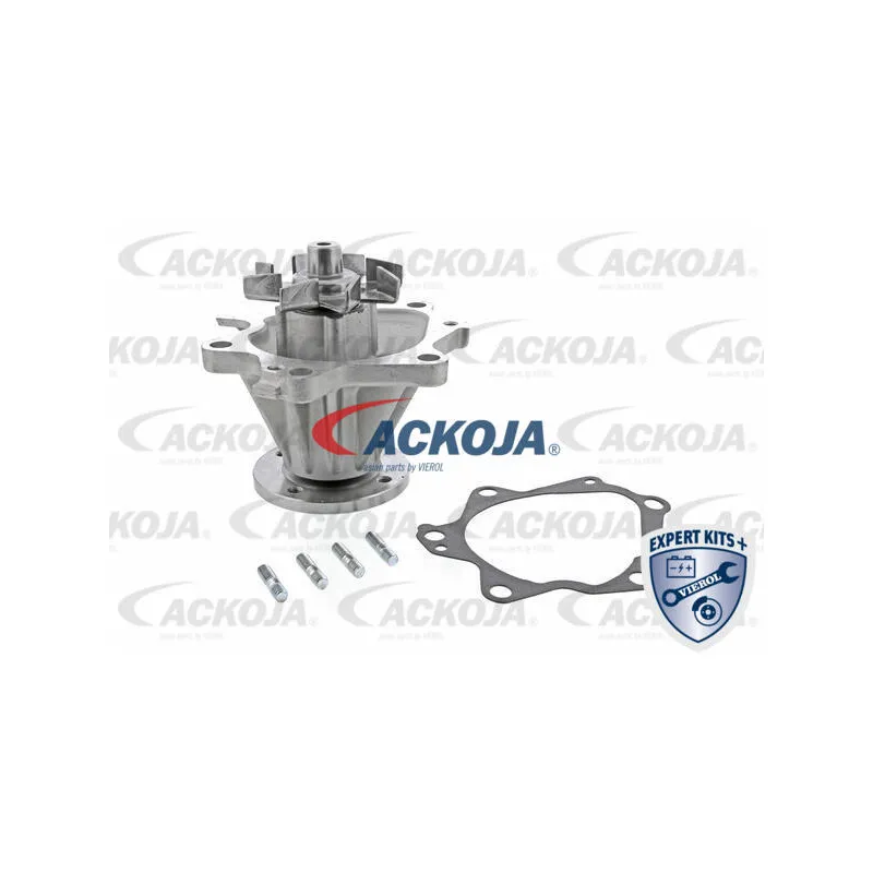 Pompe à eau ACKOJA A38-50008