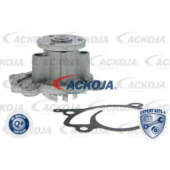 Pompe à eau ACKOJA A38-50009