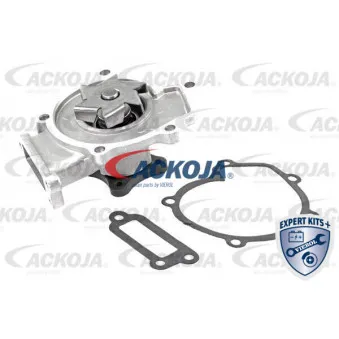 Pompe à eau ACKOJA A38-50013