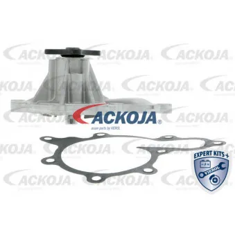 Pompe à eau ACKOJA A38-50014
